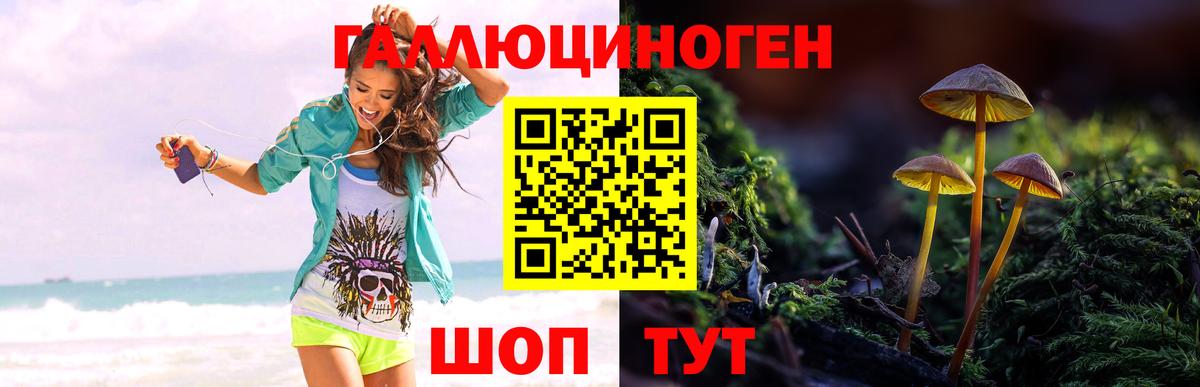 Жигулёвск  Галлюциногенные грибы MAGIC MUSHROOMS  Вход с VPN 